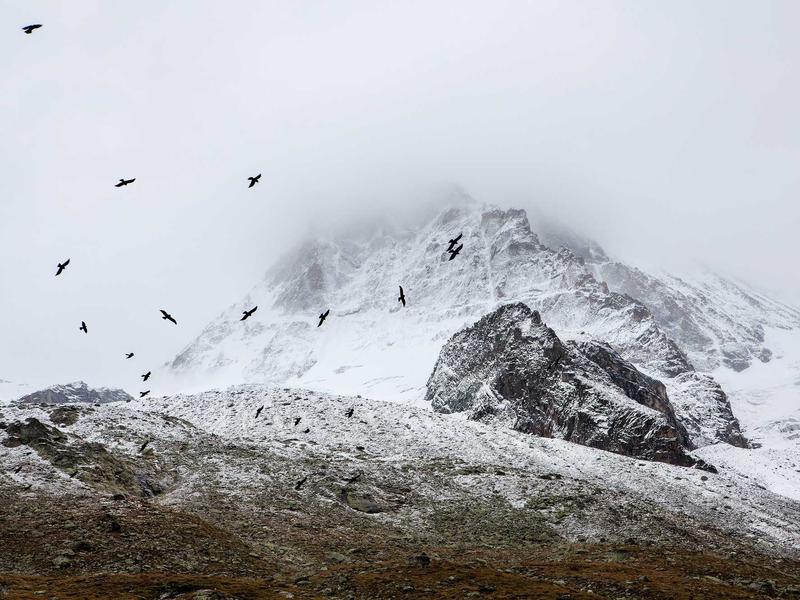 sudoku personal best